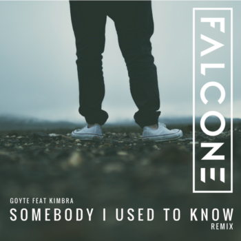 Somebody I Used To Know (Falcone Remix)